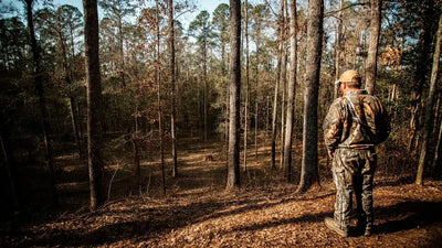 A lofted hunting cabin with extra storage space for hunting gear and outdoor equipment