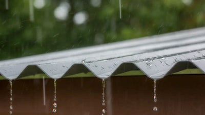 Hurricane-proof metal storage building in a residential Alabama backyard.