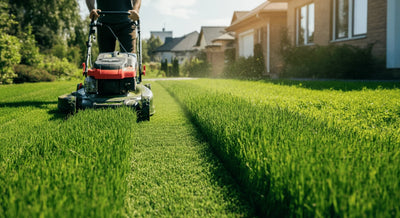 Person mowing a green lawn with a push mower on a sunny day, maintaining curb appeal and outdoor cleanliness.
